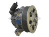 SPIDAN 54711 Hydraulic Pump, steering system